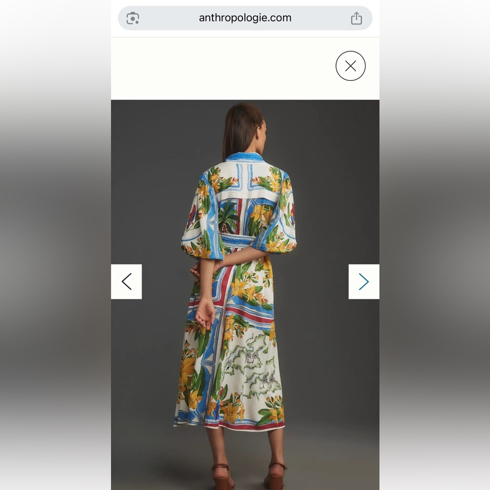 FARM Rio Multicolor Maxi Dress - Picture 3 of 10